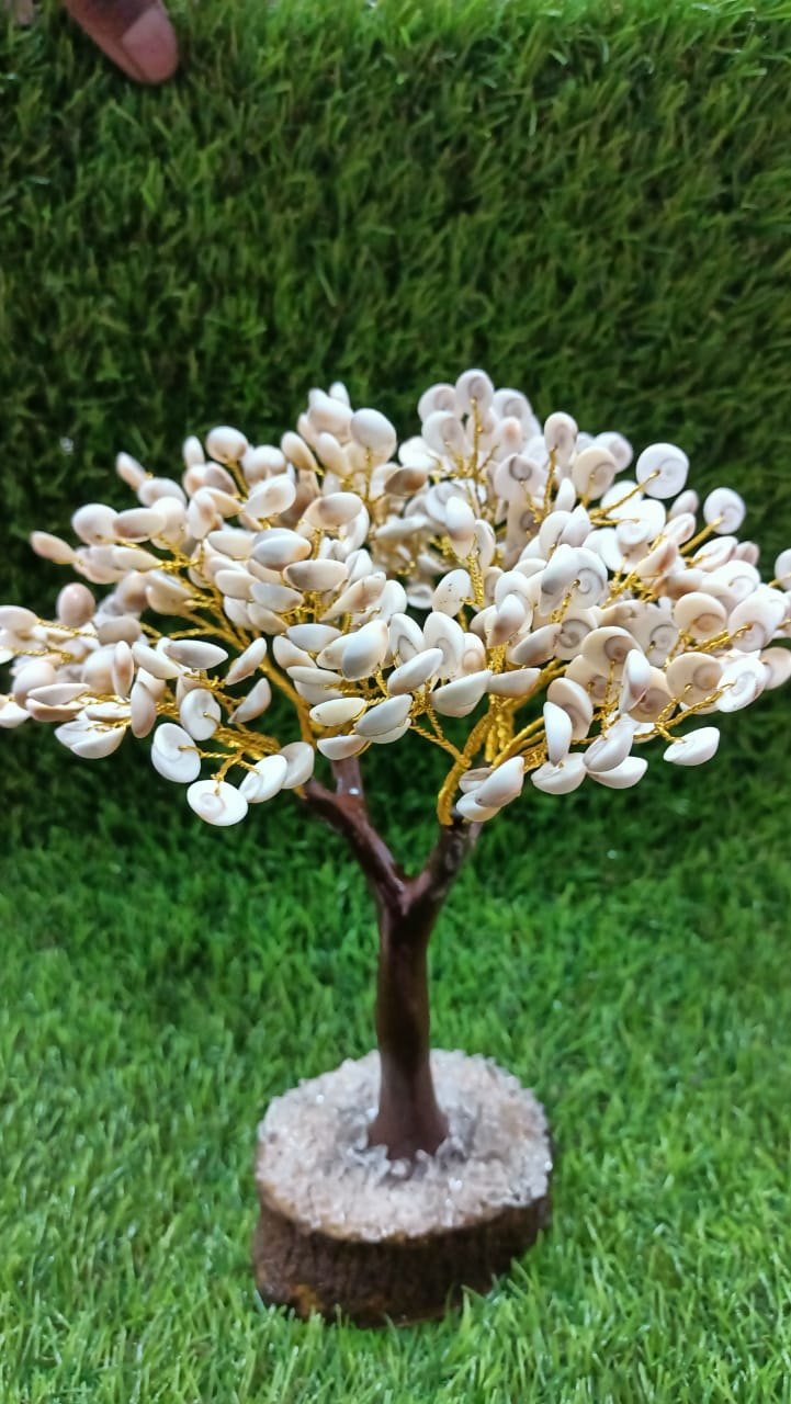 Cowrie Shell Tree